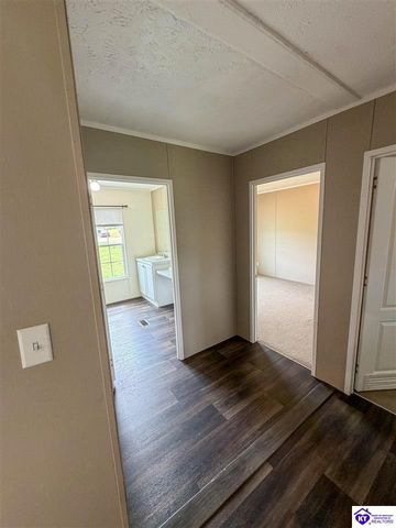 58 Limestone Lane, Rineyville, KY 40162