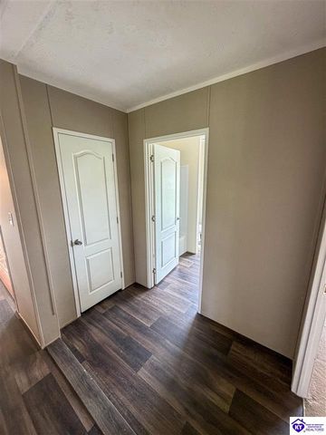 58 Limestone Lane, Rineyville, KY 40162