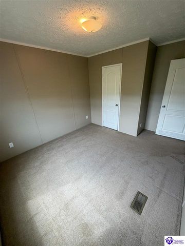 58 Limestone Lane, Rineyville, KY 40162