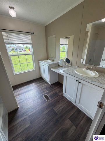 58 Limestone Lane, Rineyville, KY 40162