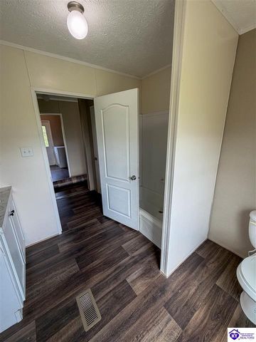 58 Limestone Lane, Rineyville, KY 40162