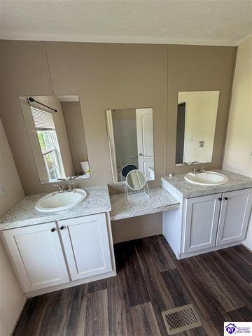 58 Limestone Lane, Rineyville, KY 40162