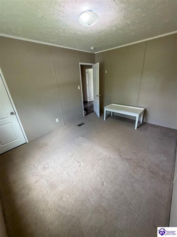 58 Limestone Lane, Rineyville, KY 40162