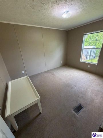 58 Limestone Lane, Rineyville, KY 40162