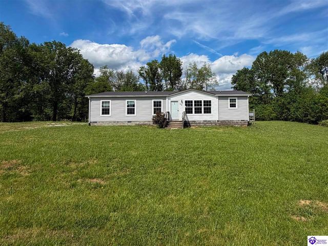 58 Limestone Lane, Rineyville, KY 40162