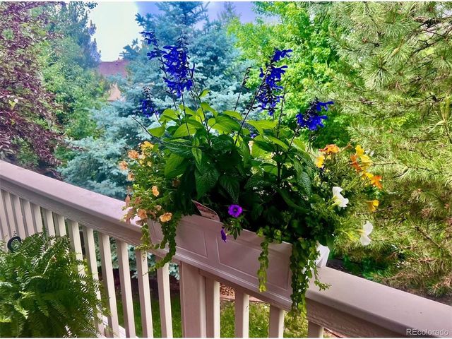 25045 E Park Crescent Dr, Aurora, CO 80016