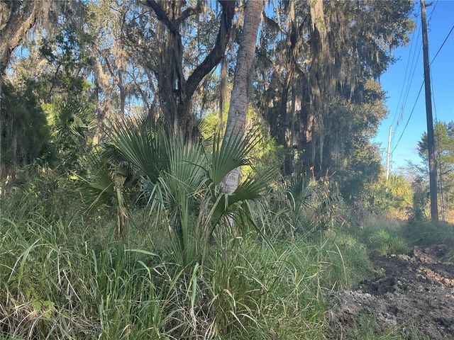 TREASURE ISLAND AVENUE, Leesburg, FL 34788