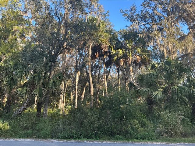 TREASURE ISLAND AVENUE, Leesburg, FL 34788