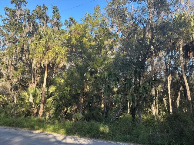 TREASURE ISLAND AVENUE, Leesburg, FL 34788
