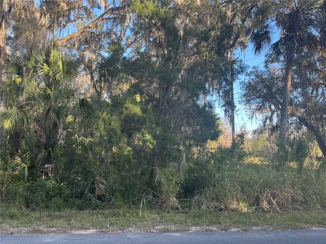 TREASURE ISLAND AVENUE, Leesburg, FL 34788