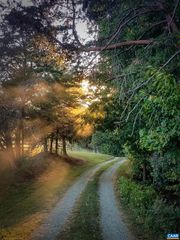 0 ANTIOCH RD, Scottsville, VA 24590