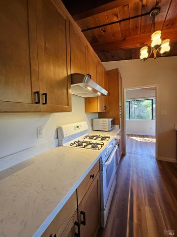 16868 Center Way, Guerneville, CA 95446