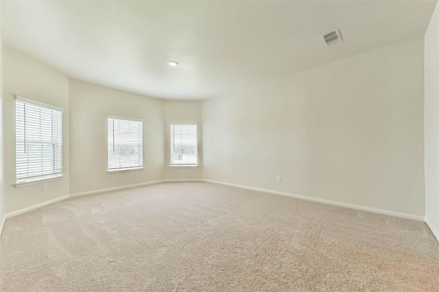 1123 Rare Fancy Drive, Iowa Colony, TX 77583
