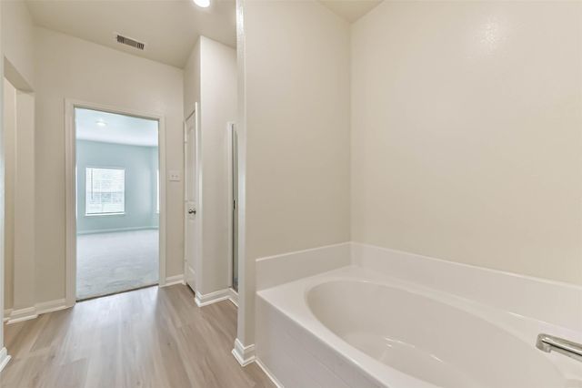 1123 Rare Fancy Drive, Iowa Colony, TX 77583