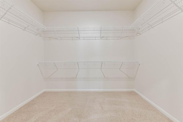 1123 Rare Fancy Drive, Iowa Colony, TX 77583