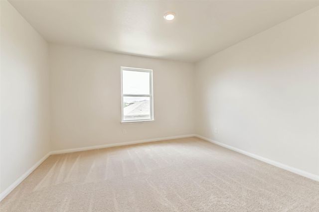 1123 Rare Fancy Drive, Iowa Colony, TX 77583