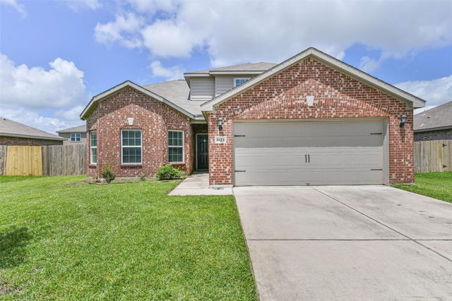 1123 Rare Fancy Drive, Iowa Colony, TX 77583