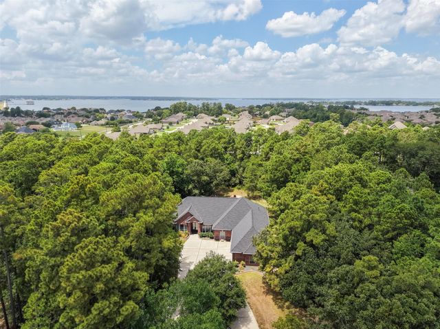 12418 Longmire Way, Conroe, TX 77304