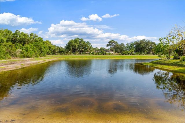 1623 GRAY BARK DRIVE, Oldsmar, FL 34677