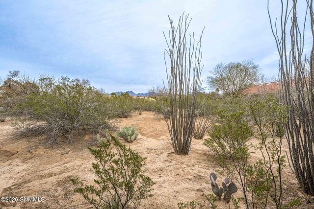 4300 Diamondback Drive, Las Cruces, NM 88011