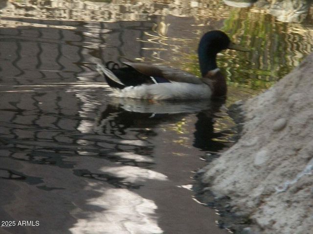 6550 N 47TH Avenue N 238, Glendale, AZ 85301