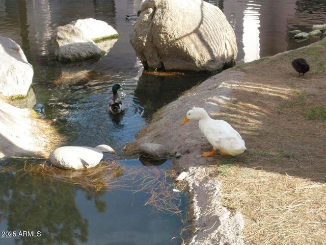 6550 N 47TH Avenue N 238, Glendale, AZ 85301