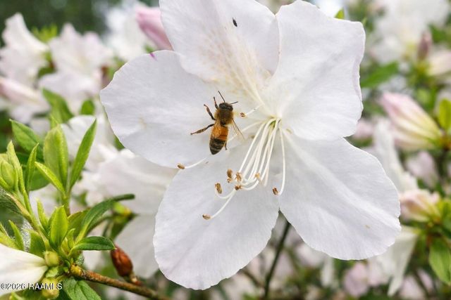 222 Katy Circle, Franklin, LA 70538