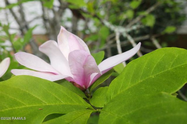 222 Katy Circle, Franklin, LA 70538