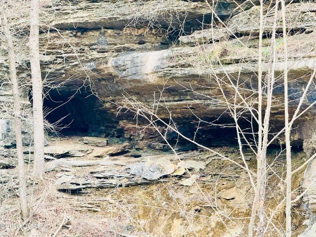 795 Anthony Road, Pineville, MO 64856