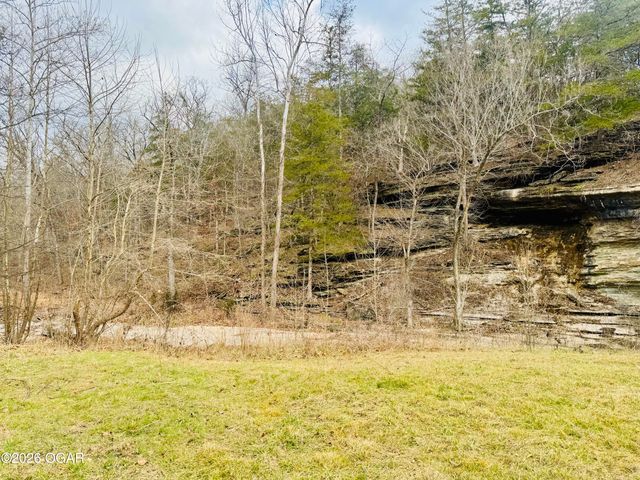 795 Anthony Road, Pineville, MO 64856