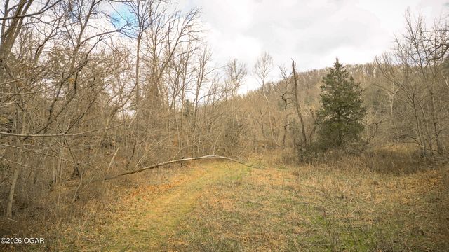 795 Anthony Road, Pineville, MO 64856