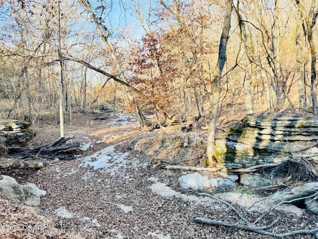 795 Anthony Road, Pineville, MO 64856