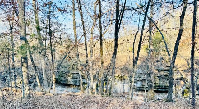 795 Anthony Road, Pineville, MO 64856