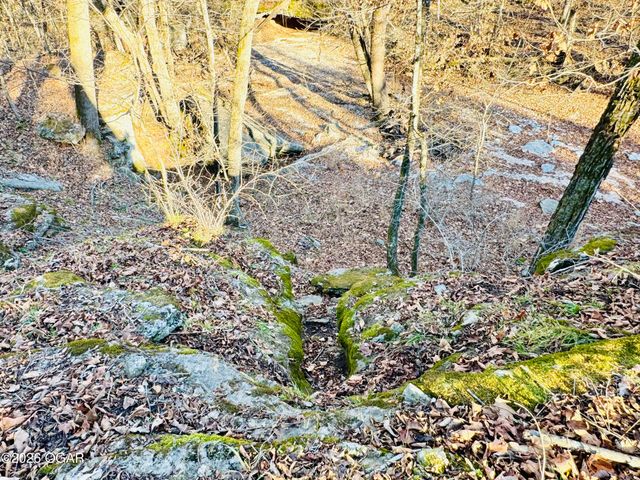 795 Anthony Road, Pineville, MO 64856