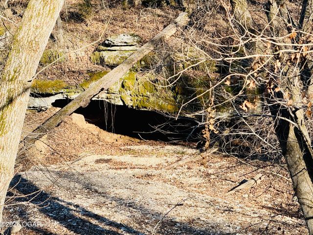 795 Anthony Road, Pineville, MO 64856