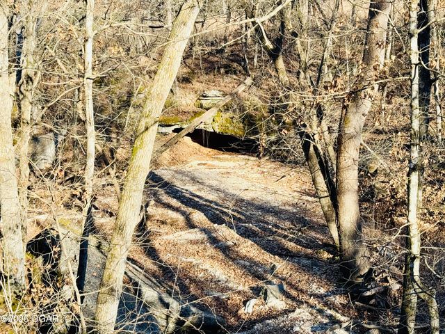 795 Anthony Road, Pineville, MO 64856