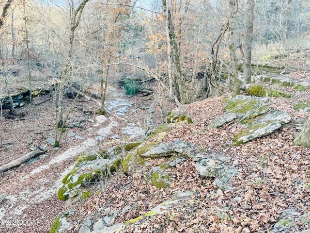 795 Anthony Road, Pineville, MO 64856