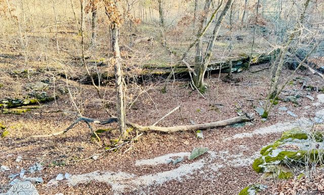 795 Anthony Road, Pineville, MO 64856