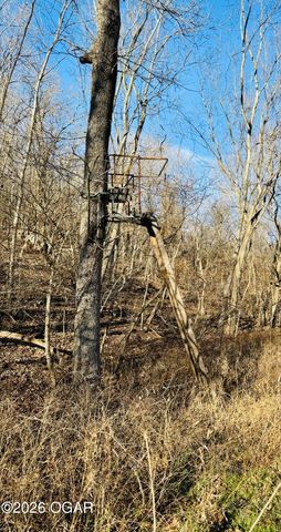 795 Anthony Road, Pineville, MO 64856