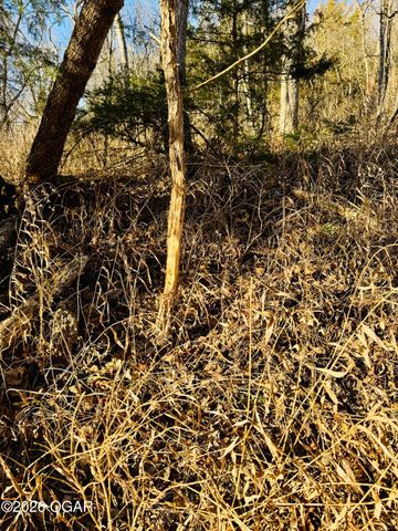 795 Anthony Road, Pineville, MO 64856