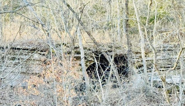 795 Anthony Road, Pineville, MO 64856