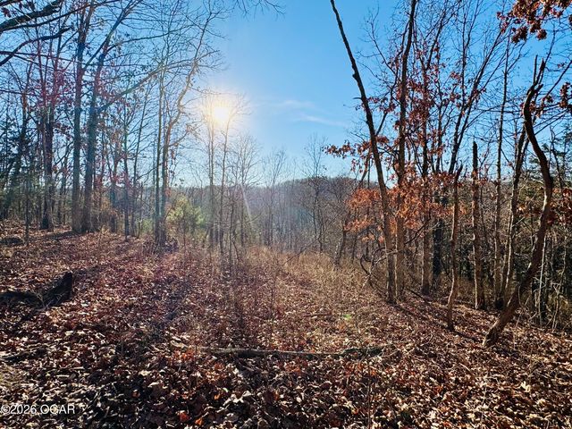 795 Anthony Road, Pineville, MO 64856