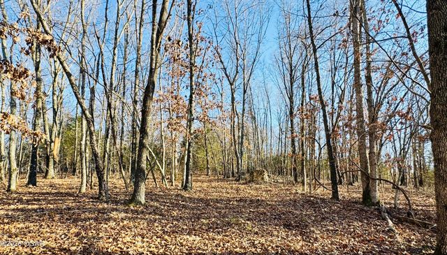 795 Anthony Road, Pineville, MO 64856