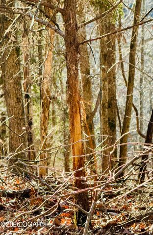 795 Anthony Road, Pineville, MO 64856