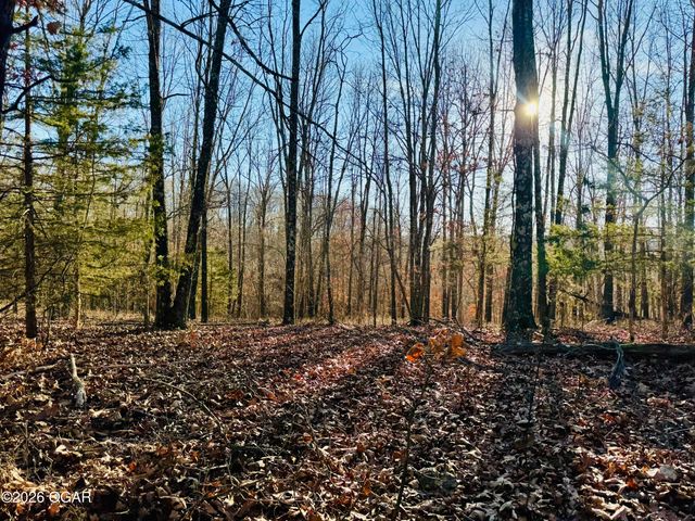 795 Anthony Road, Pineville, MO 64856