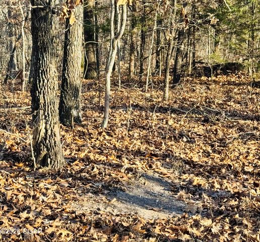 795 Anthony Road, Pineville, MO 64856