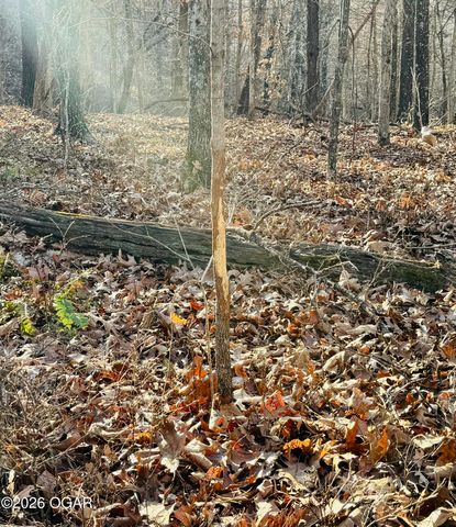 795 Anthony Road, Pineville, MO 64856