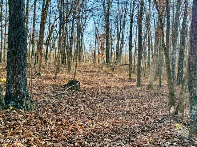 795 Anthony Road, Pineville, MO 64856