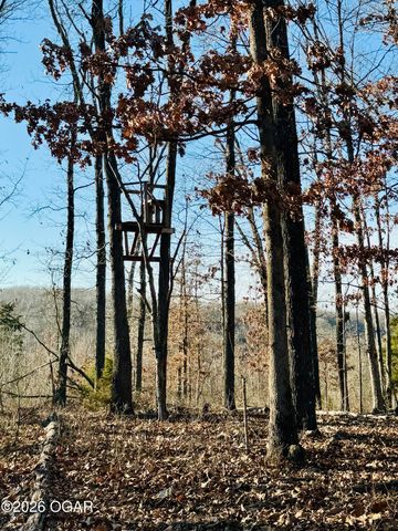 795 Anthony Road, Pineville, MO 64856