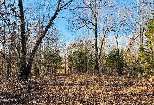 795 Anthony Road, Pineville, MO 64856